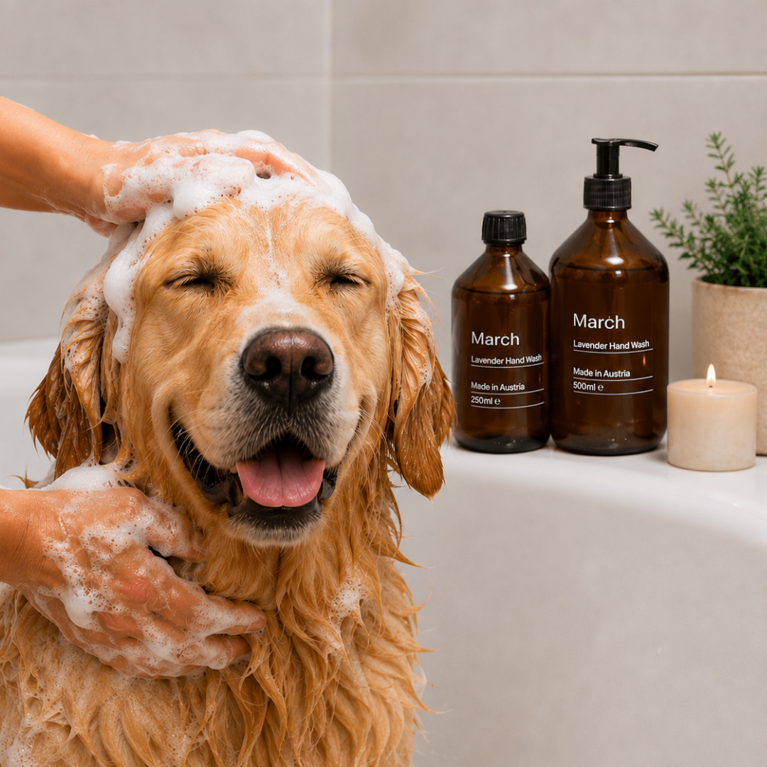 Lavender Dog Shampoo
