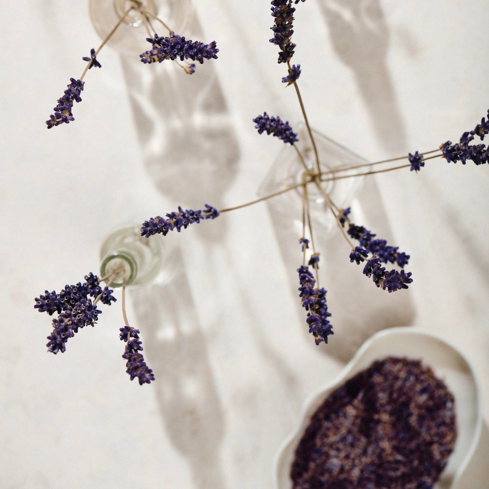 Organic Lavender Flowers March 